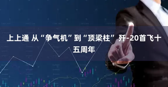 上上通 从“争气机”到“顶梁柱” 歼-20首飞十五周年